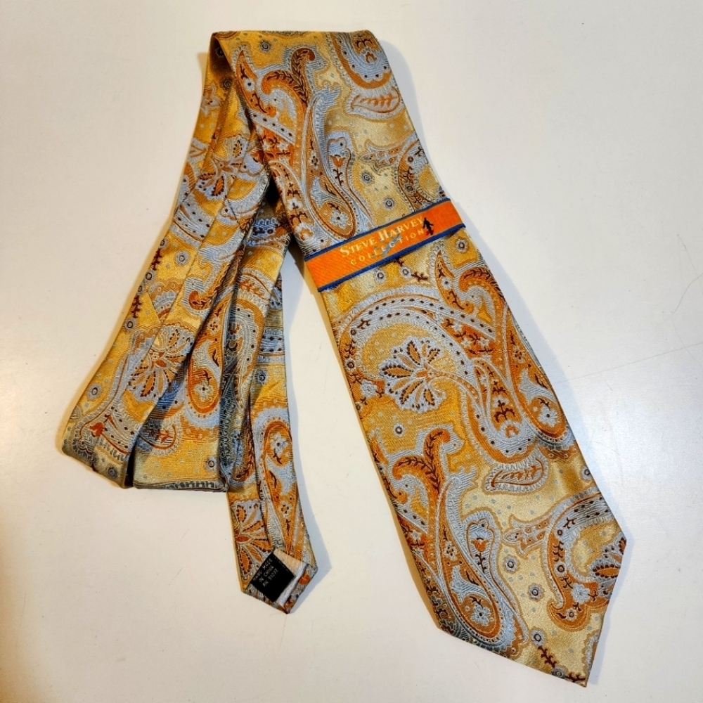 STEVE HARVEY COLLECTION All Silk Paisley Print Tie NWT